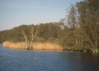 Picture 040